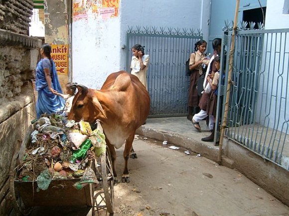 Varanasi - Okul girişi