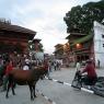 Katmandu - Durbar Square