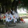Lumbini - Ağaç altında bir Budist