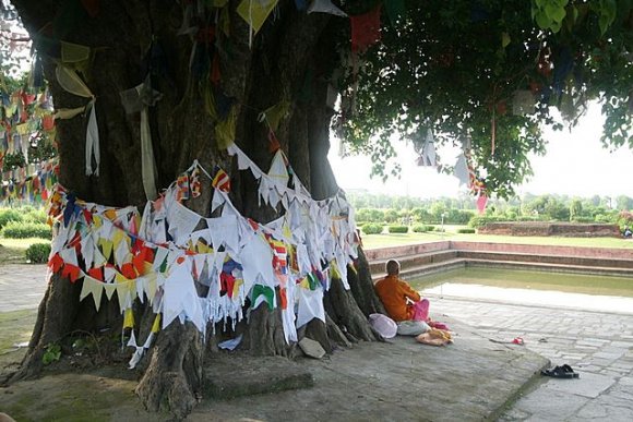 Lumbini - Ağaç altında bir Budist