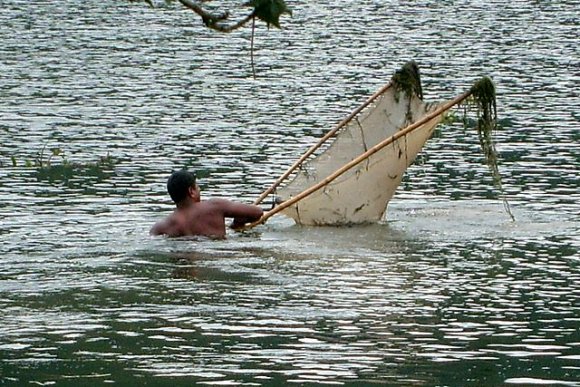 Pokhara - Phewa Gölü'ndeki balıkçı