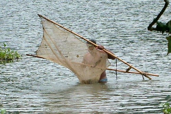 Pokhara - Phewa Gölü'ndeki balıkçı