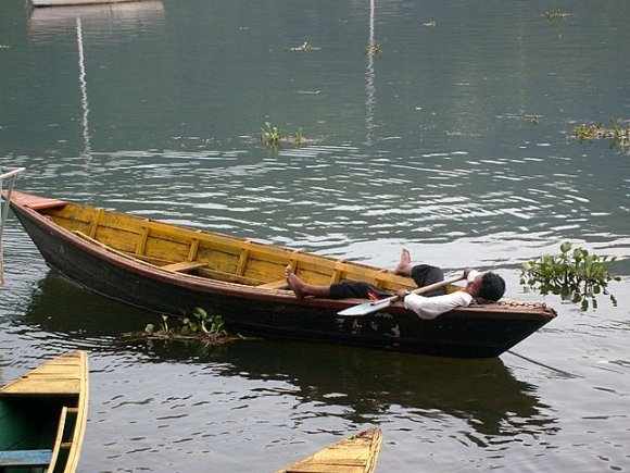 Pokhara - Phewa Gölü'nde dinlenen kürekçi