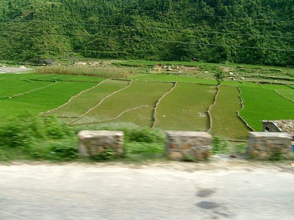 Pokhara - Katmandu Pokhara yolunda pirinç tarlaları