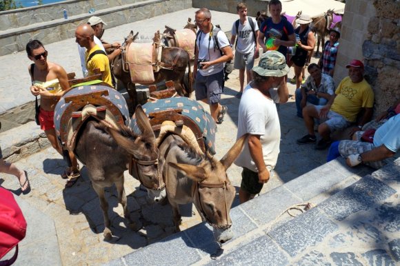 Eşeklerle çıkılan son durak: Lindos Akropolis.