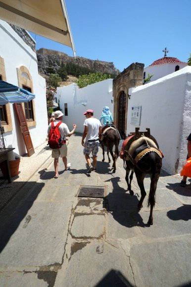 Lindos Akropolis'e giden eşekler.