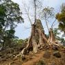 Preah Palilay, Angkor Thom, Angkor Arkeoloji Parkı.