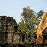 Angkor Arkeoloji Parkı