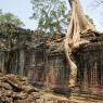 Preah Khan, Angkor Arkeoloji Parkı, Kamboçya