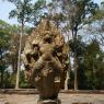 Preah Khan, Angkor Arkeoloji Parkı, Kamboçya