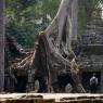 Preah Khan, Angkor Arkeoloji Parkı, Kamboçya