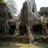 Preah Khan, Angkor Arkeoloji Parkı, Kamboçya