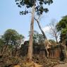 Preah Khan, Angkor Arkeoloji Parkı, Kamboçya