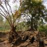 Spean Thma, Angkor Arkeoloji Parkı, Kamboçya.