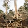 Ta Prohm, Angkor Arkeoloji Parkı, Kamboçya.