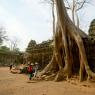 Ta Prohm