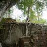Ta Prohm, Angkor Arkeoloji Parkı, Kamboçya.