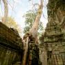 Ta Prohm, Angkor Arkeoloji Parkı, Kamboçya.