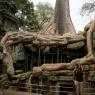 Ta Prohm, Angkor Arkeoloji Parkı, Kamboçya.