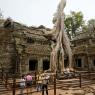 Ta Prohm, Angkor Arkeoloji Parkı, Kamboçya.