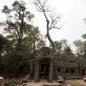 Ta Prohm, Angkor Arkeoloji Parkı, Kamboçya.