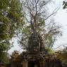 Ta Som, Angkor Arkeoloji Parkı, Kamboçya
