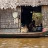 Mechrey Yüzen Kasabası, Tonle Sap Gölü, Kamboçya