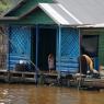 Mechrey Yüzen Kasabası, Tonle Sap Gölü, Kamboçya