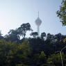 Kuala Lumpur Kulesi'ne ulaşamamak...