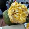 Bu da açılmış bir jackfruit meyvası.