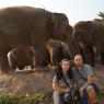 Fil Doğa Parkı (Elephant Nature Park), Chiang Mai.