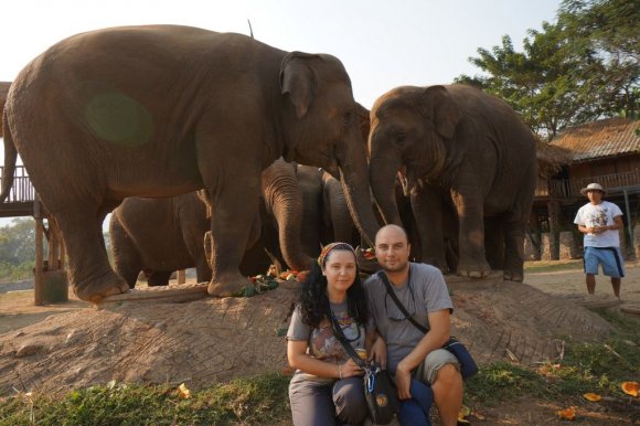 Fil Doğa Parkı (Elephant Nature Park), Chiang Mai.