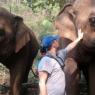 Fil Doğa Parkı (Elephant Nature Park), Chiang Mai.
