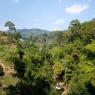 Ormanda yürüyüş (Jungle Trek), Chiang Mai.