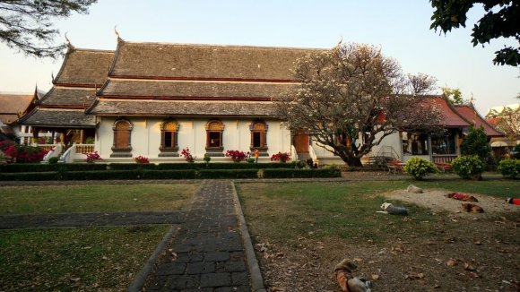 1297 yılında kurulan Wat Chiang Man Chiang Mai'de kurulan en eski Budist tapınağı.