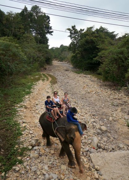 Ko Chang, "Fil Adası" demek. Fakat filler adada eskiden beri yokmuş. Adanın şeklinden dolayı böyle bir isim almış. Fakat fil sırtında gezi adanın turizm atraksiyonlarından biri.
