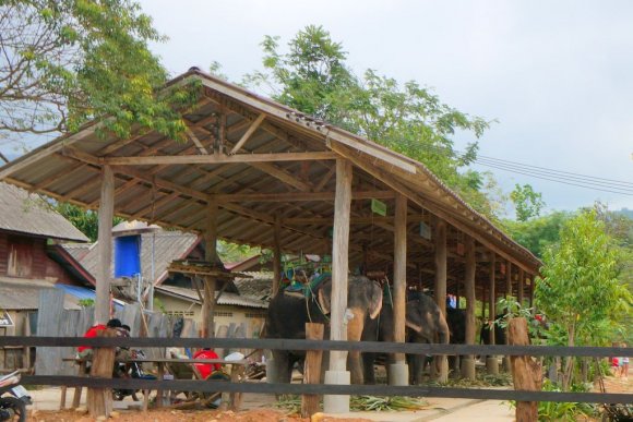 Ko Chang, Tayland