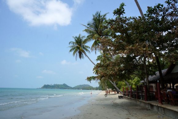 Ko Chang'ın sahillerinden birinde denize doğru uzanan palmiye ağaçları.