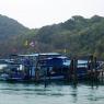 Ko Chang - Ko Mak yolculuğu, Tayland