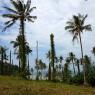 Ko Mak, Tayland