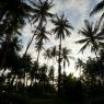 Ko Mak, Tayland