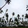 Ko Mak, Tayland