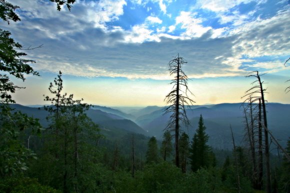 Yosemite Ulusal Parkı