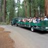 Yosemite Ulusal Parkı - Rehberli gezi