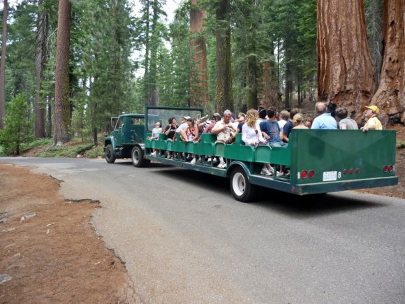 Yosemite Ulusal Parkı - Rehberli gezi