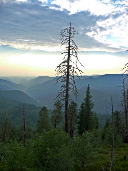 Yosemite Ulusal Parkı