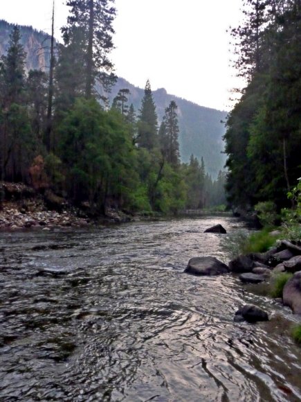 Yosemite Ulusal Parkı