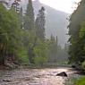 Yosemite Ulusal Parkı