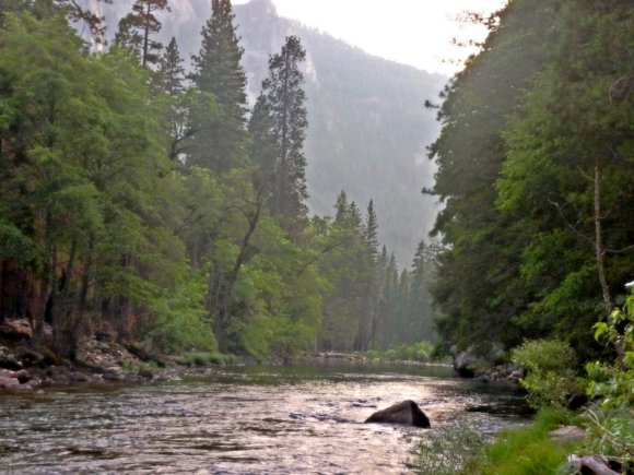 Yosemite Ulusal Parkı