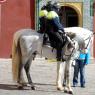 Kurtuba Camii (Mezquita) etrafında gördüğümüz atlı polisler çevredeki turistlere de yardımcı oluyorlardı.